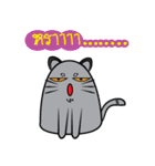 I am cat white and I am cat gray（個別スタンプ：6）