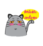 I am cat white and I am cat gray（個別スタンプ：12）