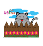 I am cat white and I am cat gray（個別スタンプ：19）