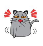 I am cat white and I am cat gray（個別スタンプ：23）
