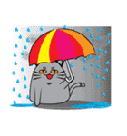 I am cat white and I am cat gray（個別スタンプ：25）
