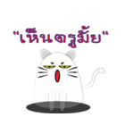 I am cat white and I am cat gray（個別スタンプ：29）