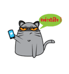 I am cat white and I am cat gray（個別スタンプ：33）