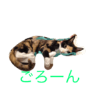 ゆっくり生きましょ（個別スタンプ：1）