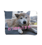 animal family！（個別スタンプ：3）