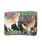 animal family！（個別スタンプ：6）