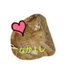animal family！（個別スタンプ：11）