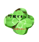 oshiro stamp（個別スタンプ：12）