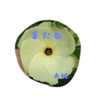 oshiro stamp（個別スタンプ：13）