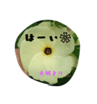 oshiro stamp（個別スタンプ：15）