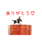 フランすたんぷ①（個別スタンプ：2）