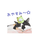 フランすたんぷ①（個別スタンプ：4）