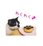 フランすたんぷ①（個別スタンプ：5）