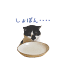 フランすたんぷ①（個別スタンプ：7）