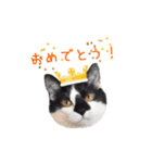 フランすたんぷ①（個別スタンプ：8）