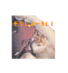 ポジティブ☆にゃんこ（個別スタンプ：6）