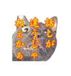 ポジティブ☆にゃんこ（個別スタンプ：9）