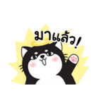 Greanlnw CatTarot（個別スタンプ：21）
