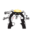 Greanlnw CatTarot（個別スタンプ：24）