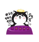 Greanlnw CatTarot（個別スタンプ：37）