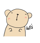 Chubby Bear PoMoTo Teddy v4（個別スタンプ：29）