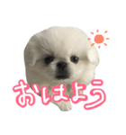 もふっと ぺきなな（個別スタンプ：1）
