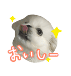 もふっと ぺきなな（個別スタンプ：5）