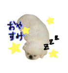もふっと ぺきなな（個別スタンプ：7）