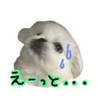 もふっと ぺきなな（個別スタンプ：10）