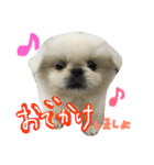 もふっと ぺきなな（個別スタンプ：11）