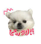 もふっと ぺきなな（個別スタンプ：12）