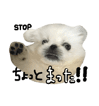 もふっと ぺきなな（個別スタンプ：13）