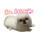 もふっと ぺきなな（個別スタンプ：23）