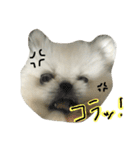 もふっと ぺきなな（個別スタンプ：24）