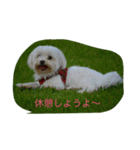 choco080119（個別スタンプ：1）
