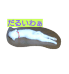 白いぬ（個別スタンプ：1）