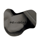 白いぬ（個別スタンプ：2）