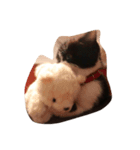 sko（個別スタンプ：1）