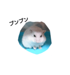 ハムスターの挨拶（個別スタンプ：3）