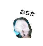 ハムスターの挨拶（個別スタンプ：7）
