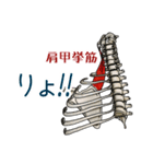 筋肉マニアックスタンプ3〜体幹編〜（個別スタンプ：5）
