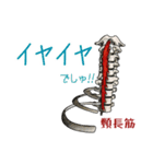 筋肉マニアックスタンプ3〜体幹編〜（個別スタンプ：12）