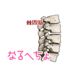 筋肉マニアックスタンプ3〜体幹編〜（個別スタンプ：38）
