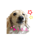 なならりぴの すたんぷ（個別スタンプ：1）