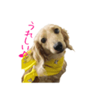 なならりぴの すたんぷ（個別スタンプ：3）