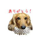 なならりぴの すたんぷ（個別スタンプ：4）