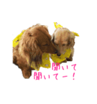 なならりぴの すたんぷ（個別スタンプ：6）
