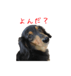 なならりぴの すたんぷ（個別スタンプ：9）