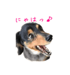 なならりぴの すたんぷ（個別スタンプ：11）