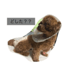 ミロpart2（個別スタンプ：2）